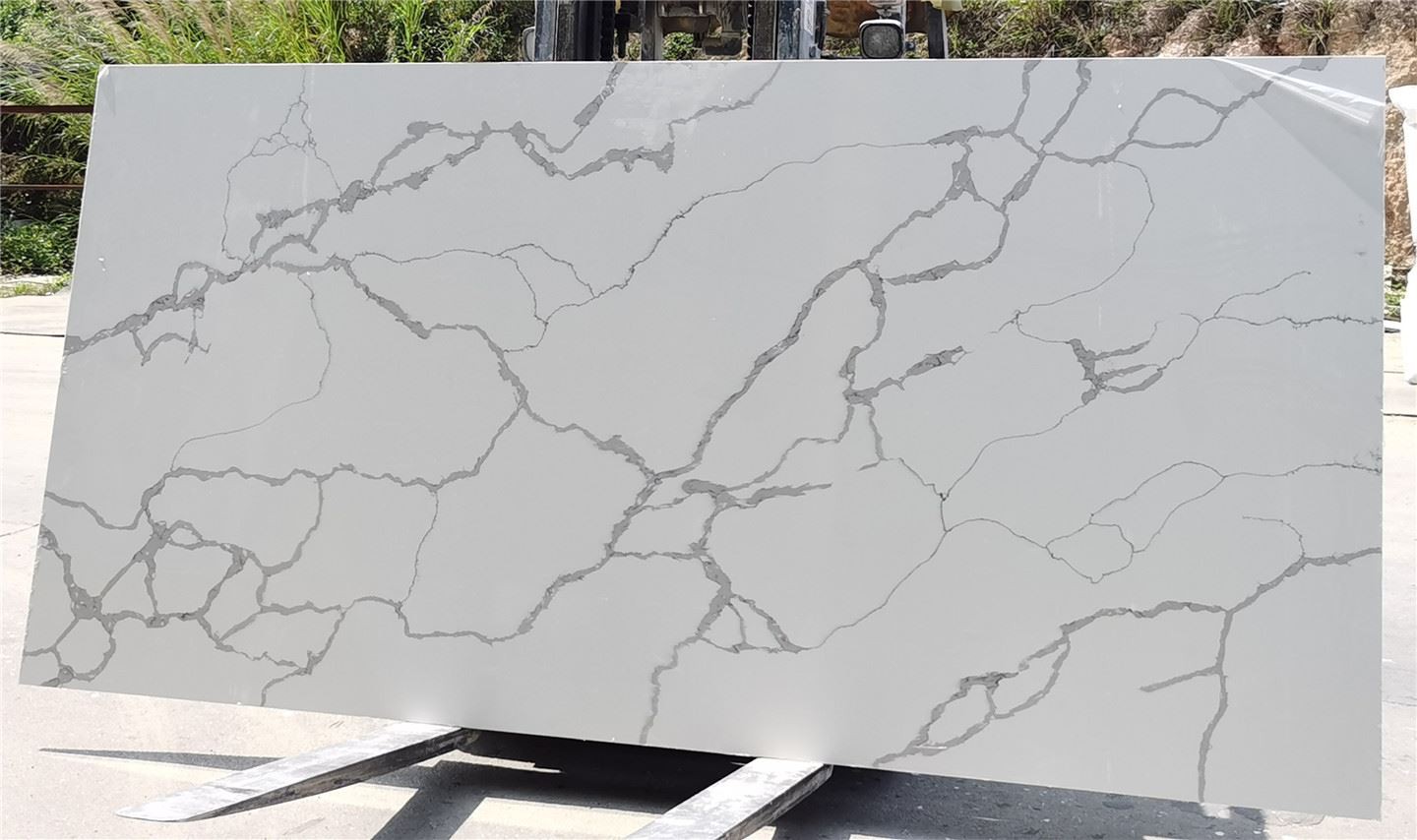 CALACATTA V003-FULL SLAB2