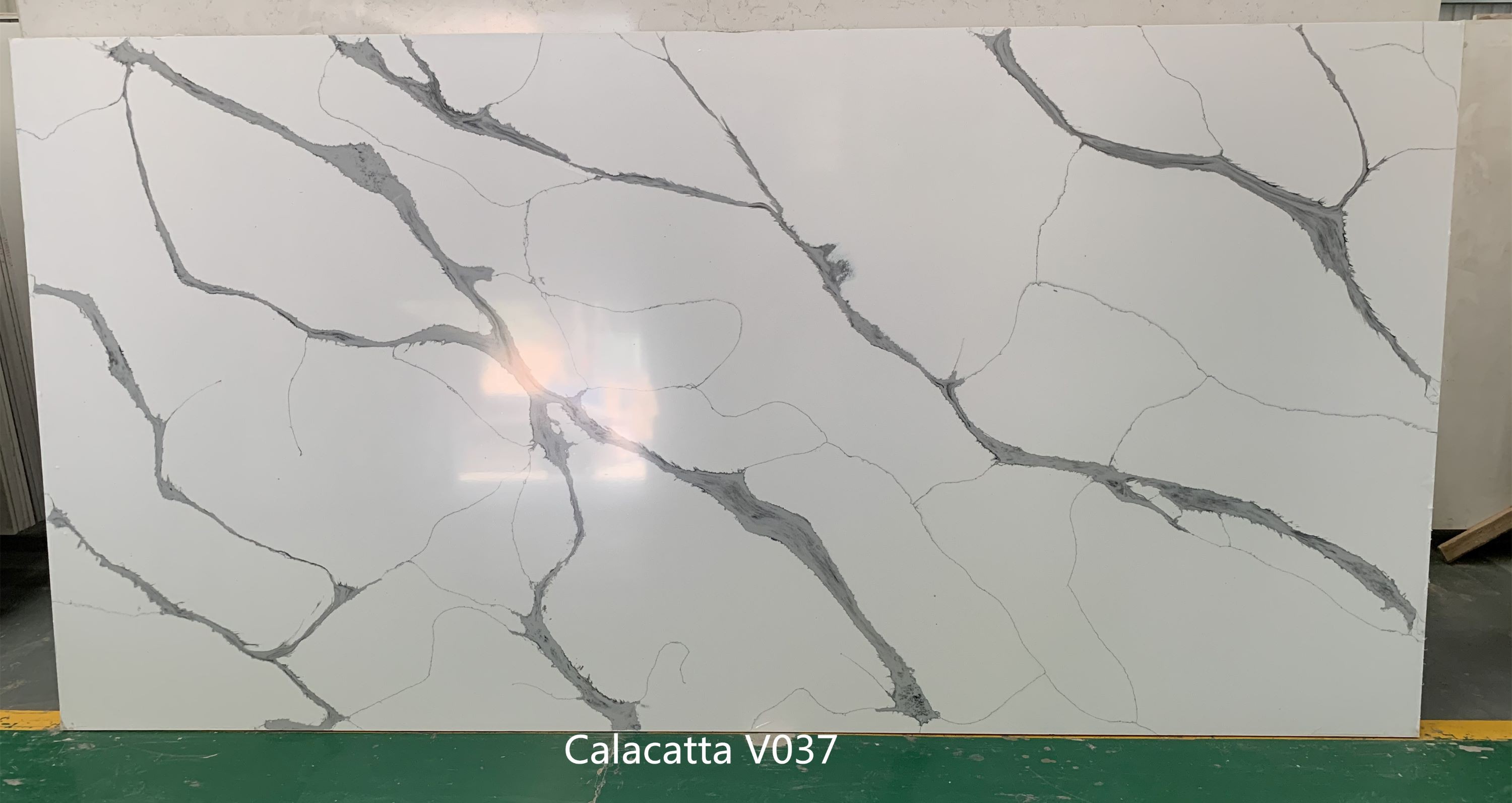 Calacatta V037