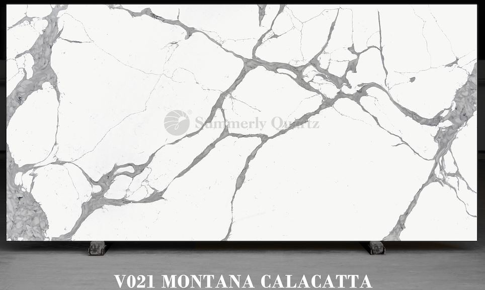 V021 Montana