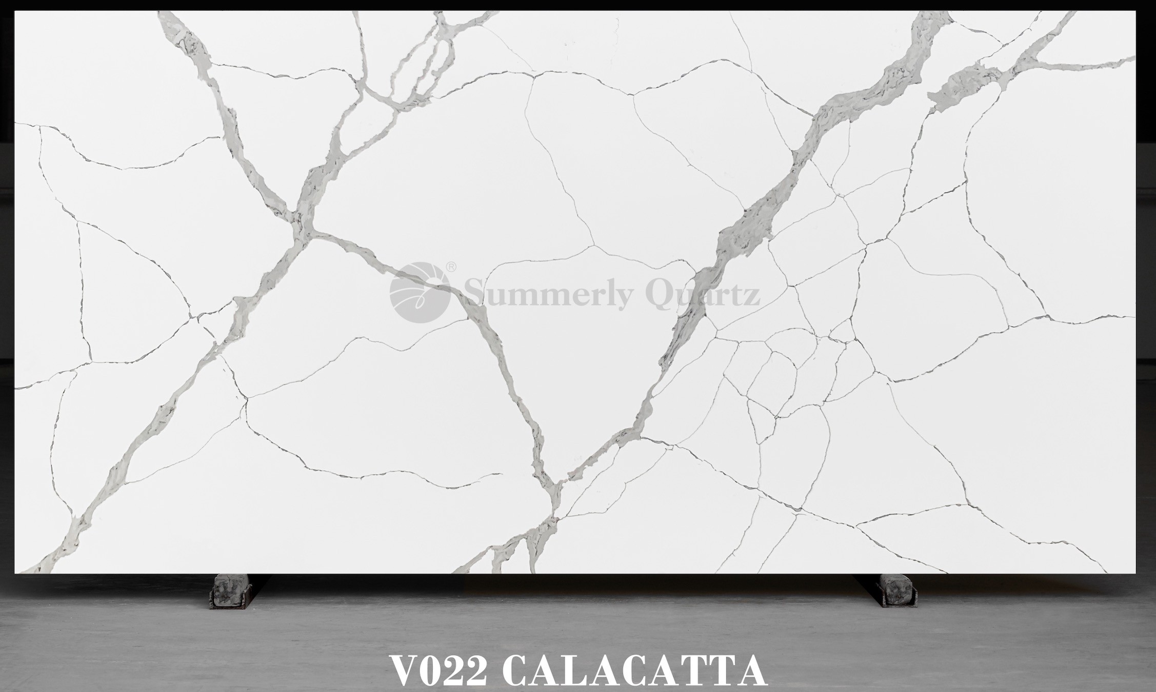 Calacatta V022