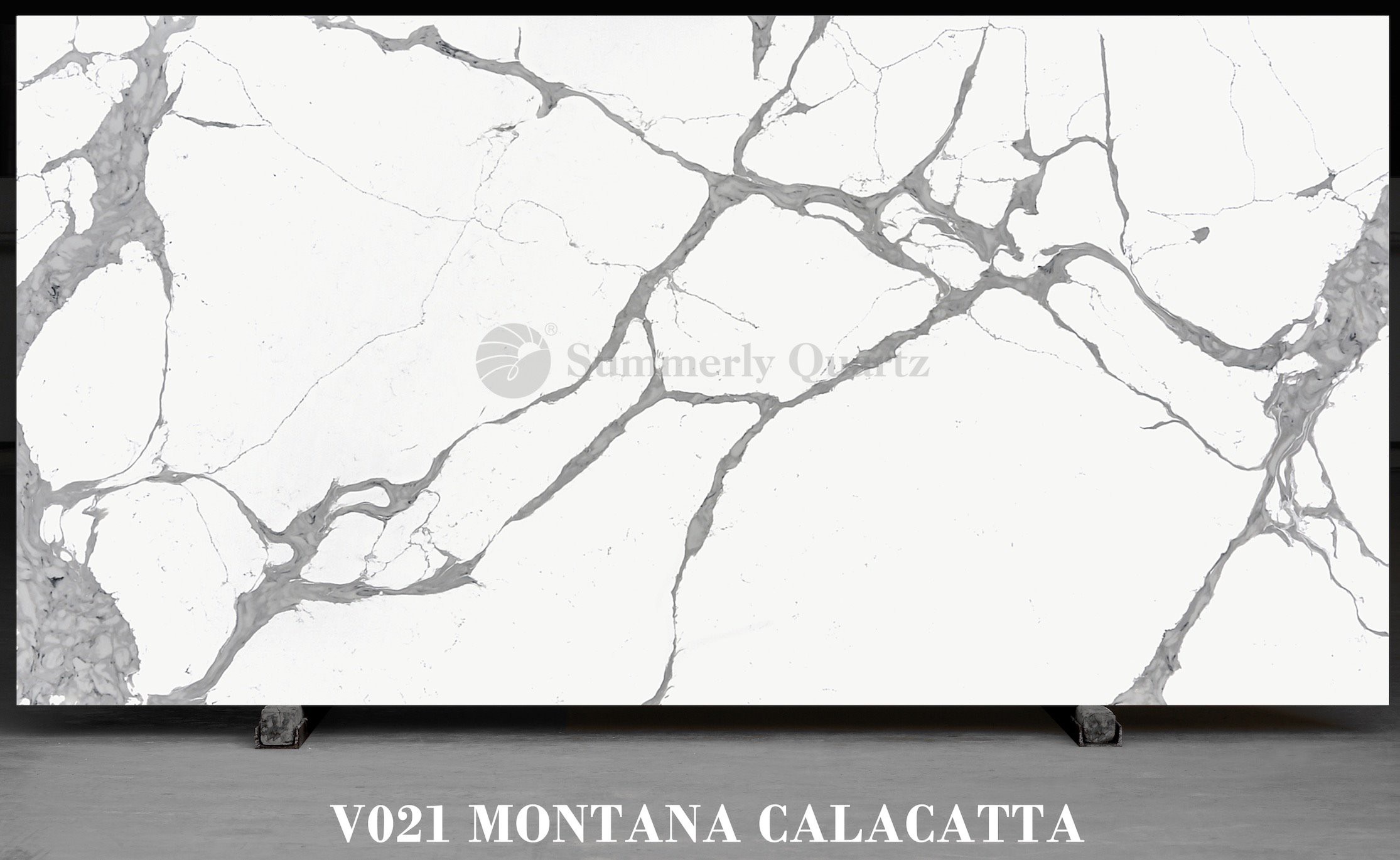 V021 Montana