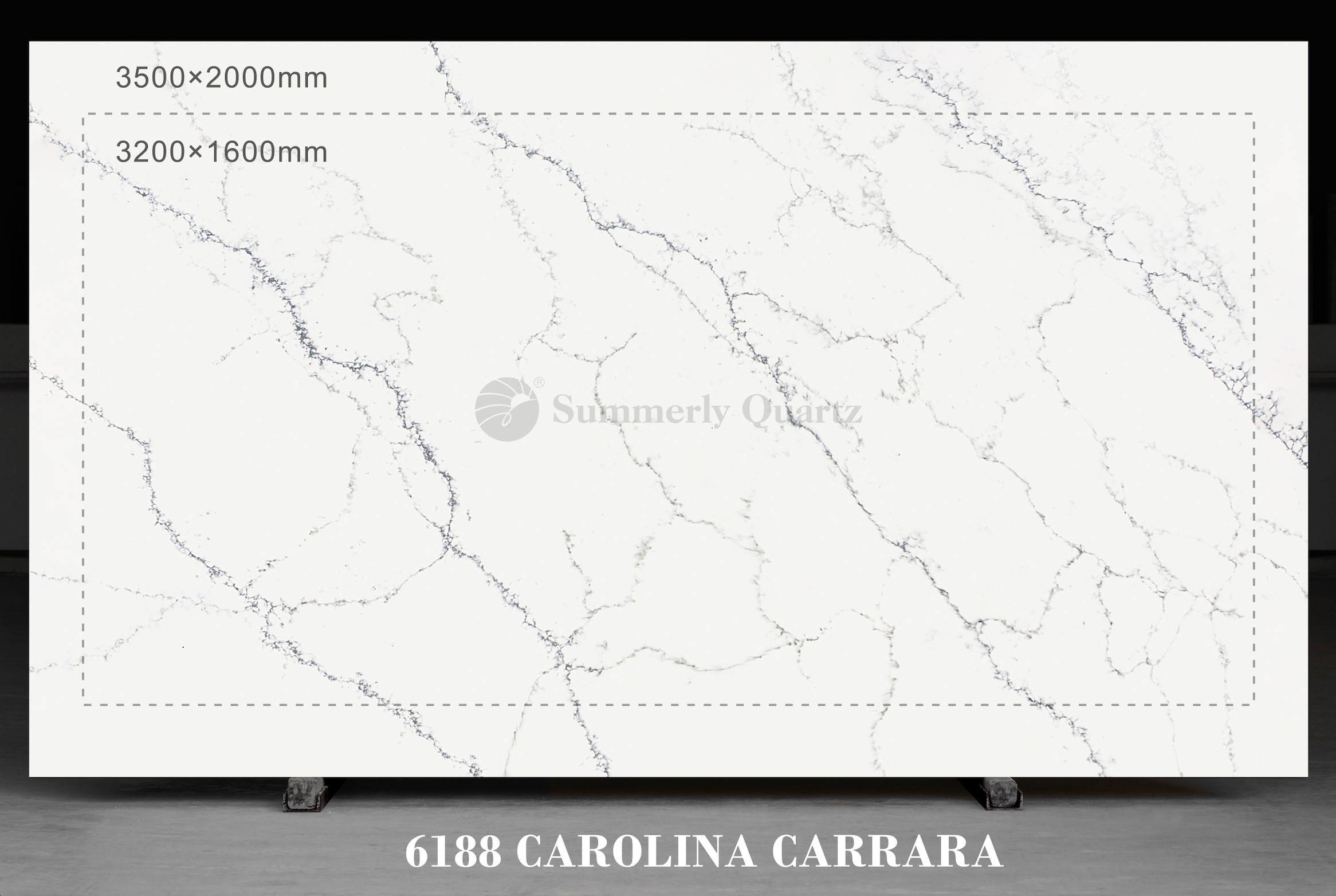 6188 Carolina Carrara